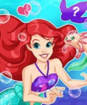 Mermaid Pet Shop