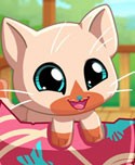 My Pocket Pets: Kitty Cat