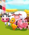 Fun With Farms Animals Learning