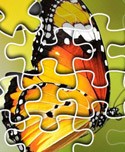 Ultimate Butterfly Puzzle