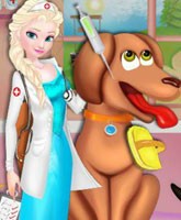 Ellie Animal Hospital