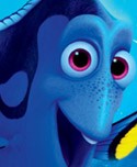 Finding Dory Coloring