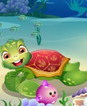 Turtle Care